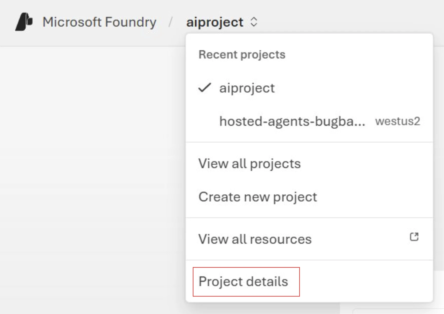 Screenshot of project name menu with project details highlighted.
