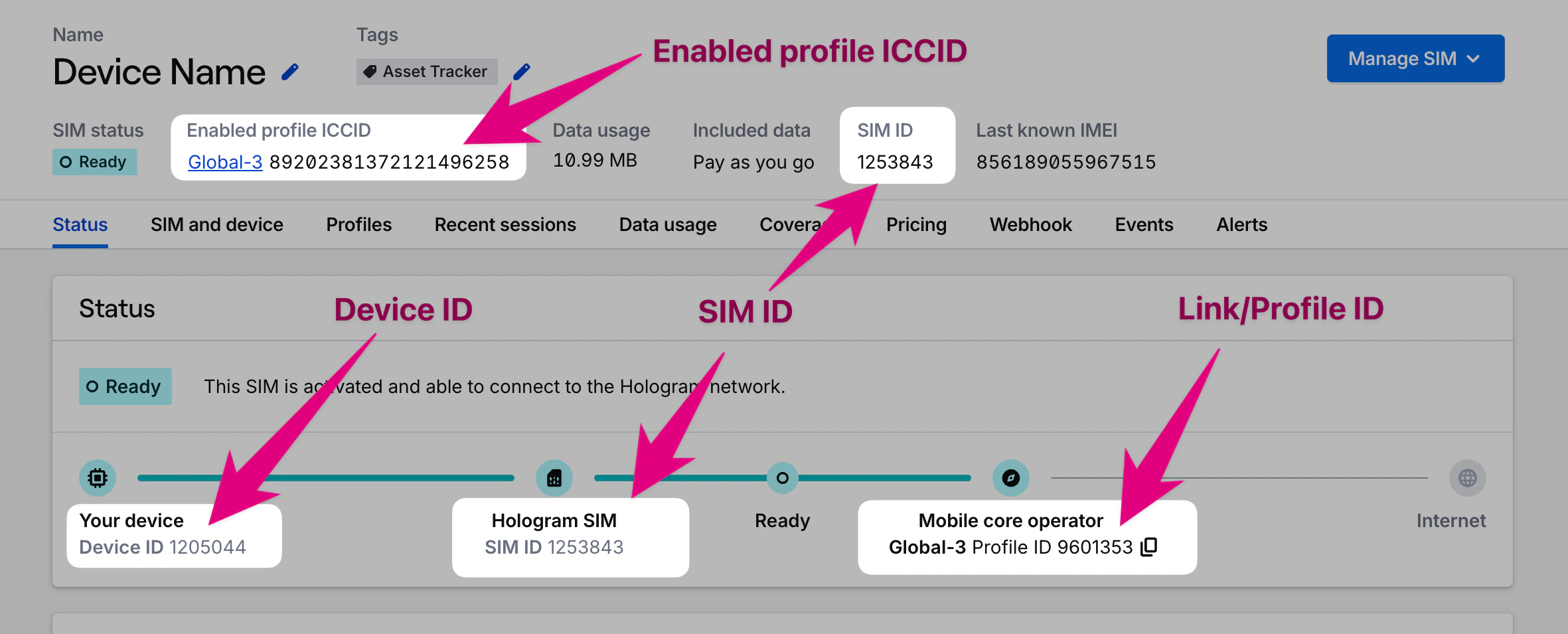 SIM details Status tab with primary identifiers highlighted