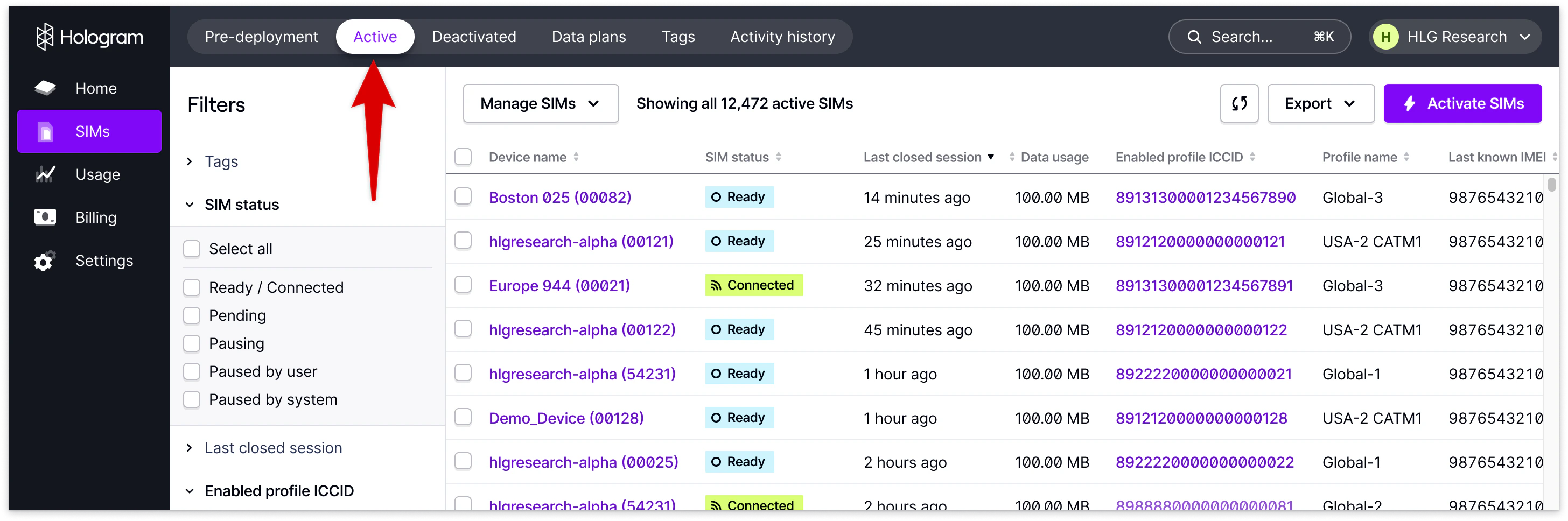 Active SIMs page showing all activated SIMs with status and usage columns