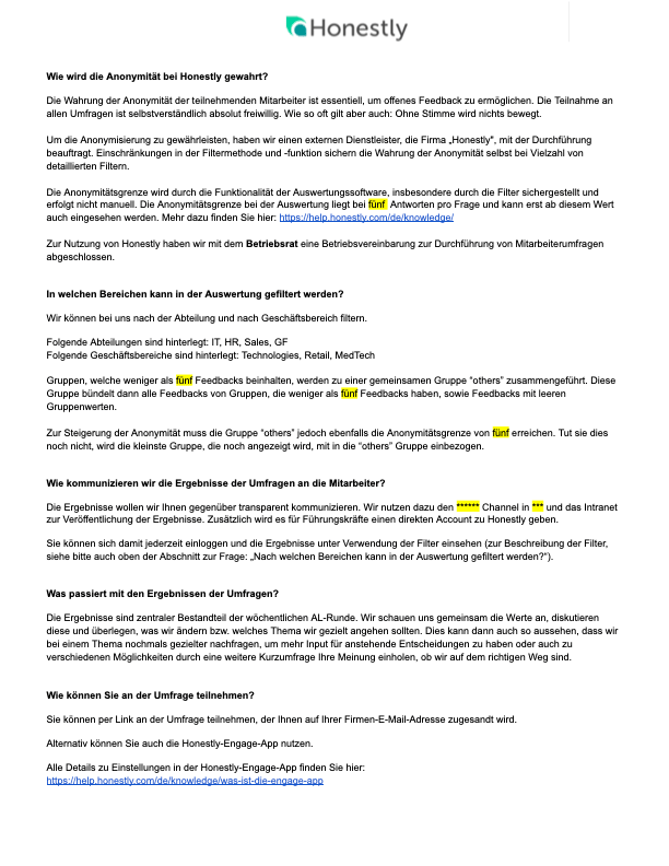Honestly_Anonymitaet_und_Auswertung_Template (2).docx