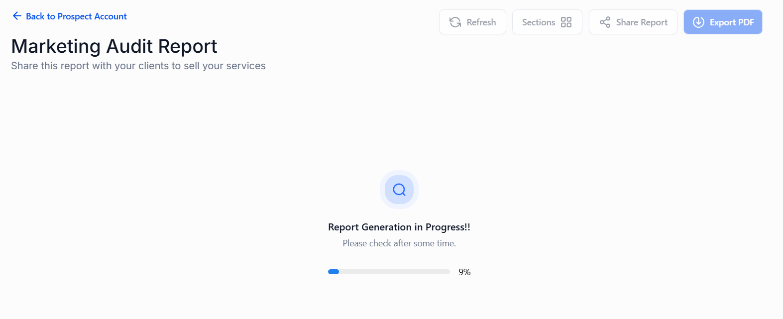 Marketing Audit Report