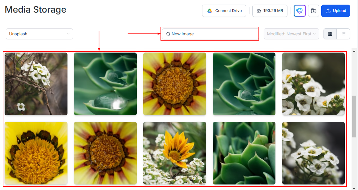 Search Unsplash for images