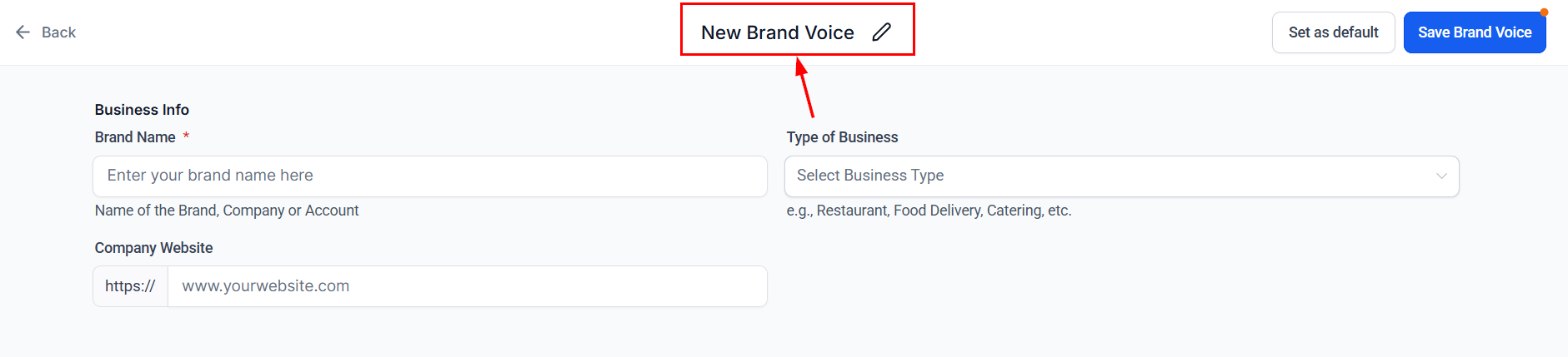 Brand Voice name field