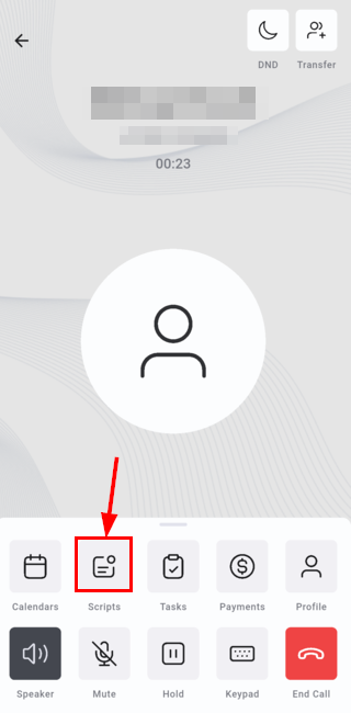 Call scripts in call