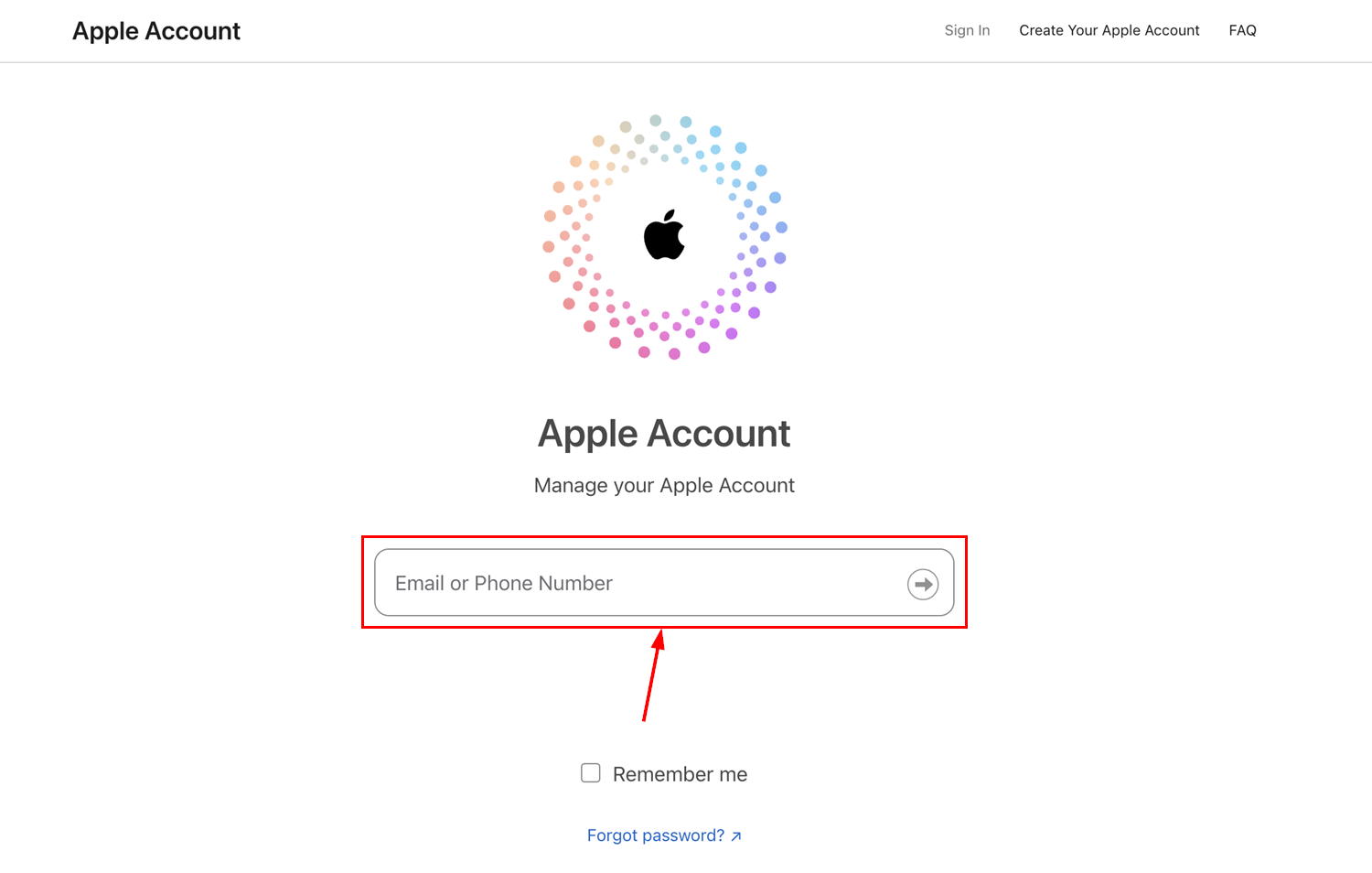 Apple ID email entry field