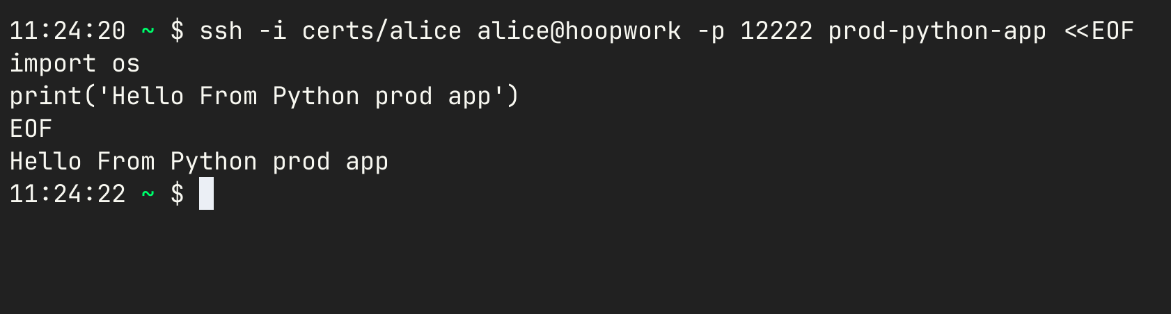 SSH Ad-Hoc Stdin Execution