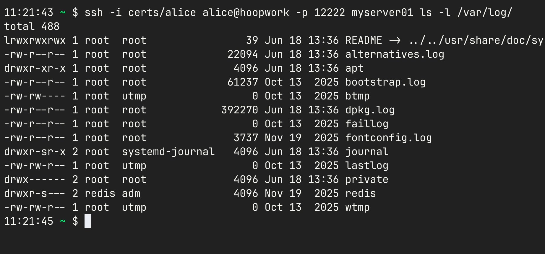 SSH Ad-Hoc Command Execution