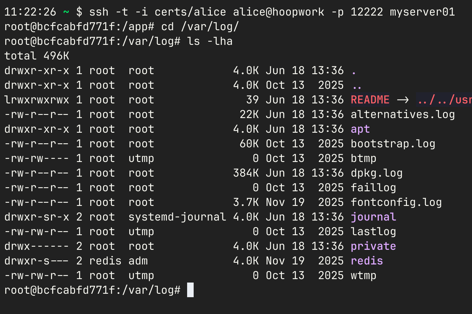 SSH Interactive Terminal Session