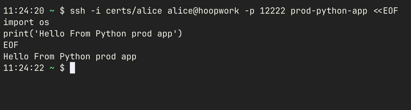 SSH Ad-Hoc Stdin Execution