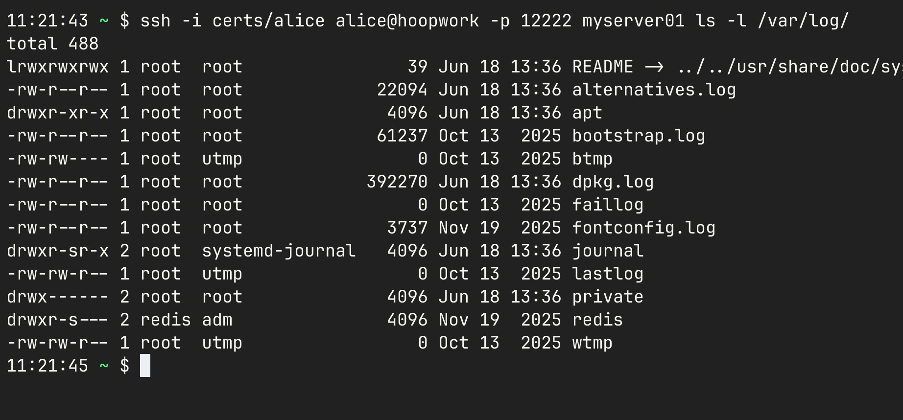 SSH Ad-Hoc Command Execution