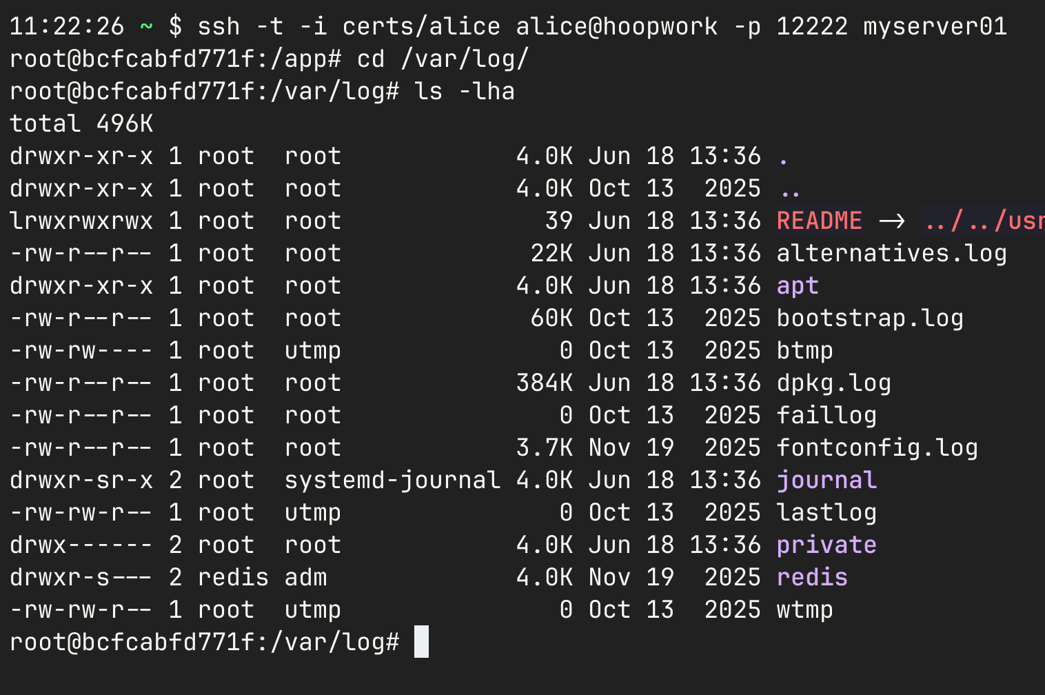 SSH Interactive Terminal Session