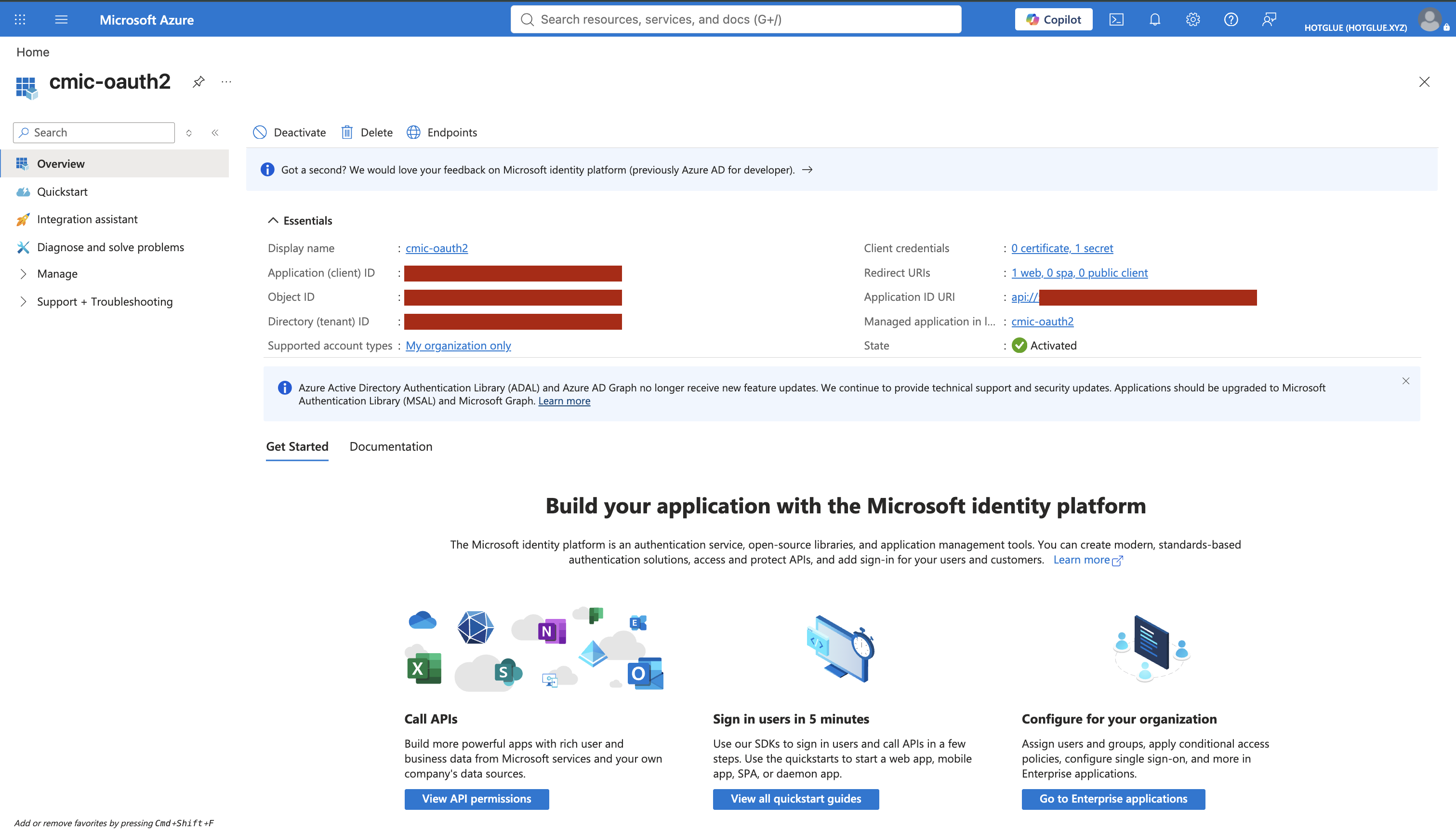 Microsoft Entra app Overview page after registration. Copy Application (client) ID and Directory (tenant) ID from Essentials.