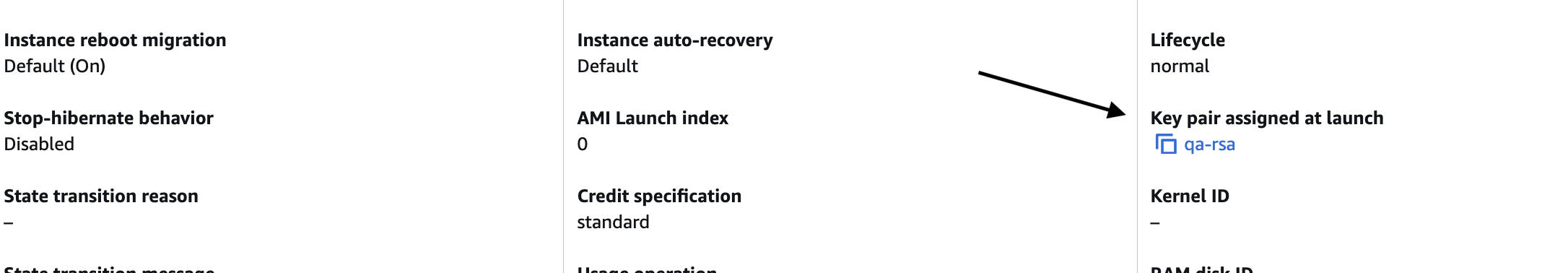 Locate Key pair assigned at launch
