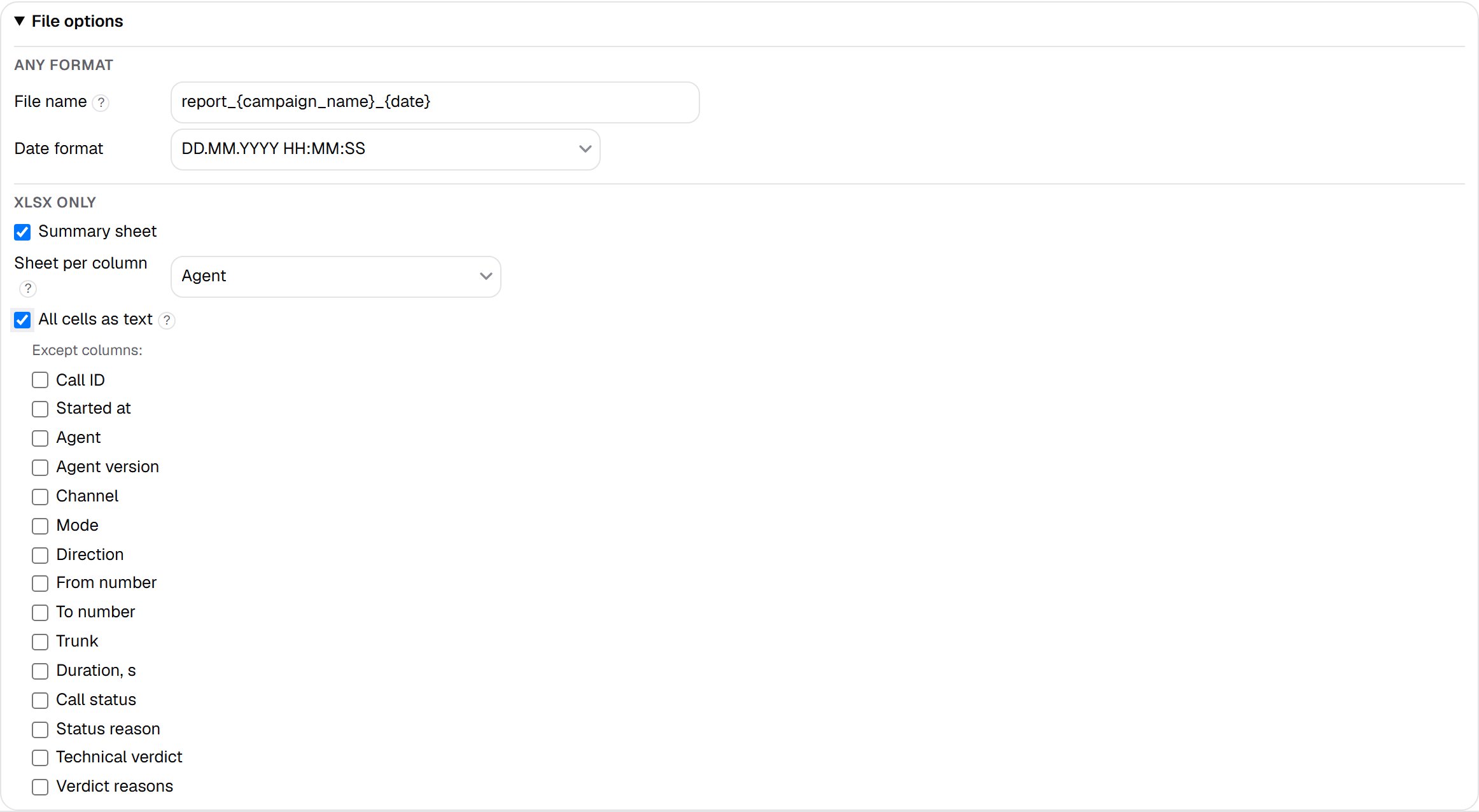 The File options block: the Any format and XLSX only groups