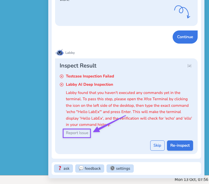 Deep Inspection Report Issue