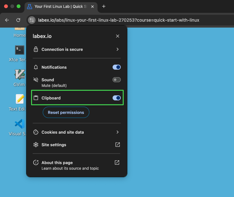 LabEx VM Desktop Interface - LabEx Support