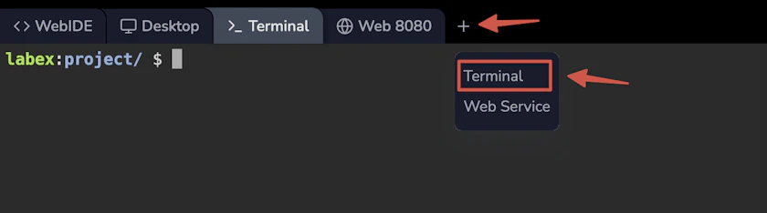 LabEx VM Terminal Interface - LabEx Support