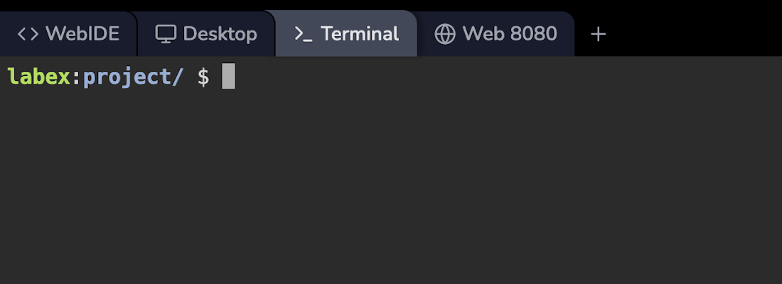 LabEx VM Terminal Interface - LabEx Support