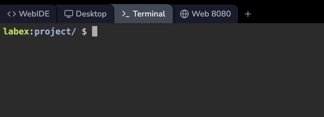 LabEx VM Terminal Interface - LabEx Support