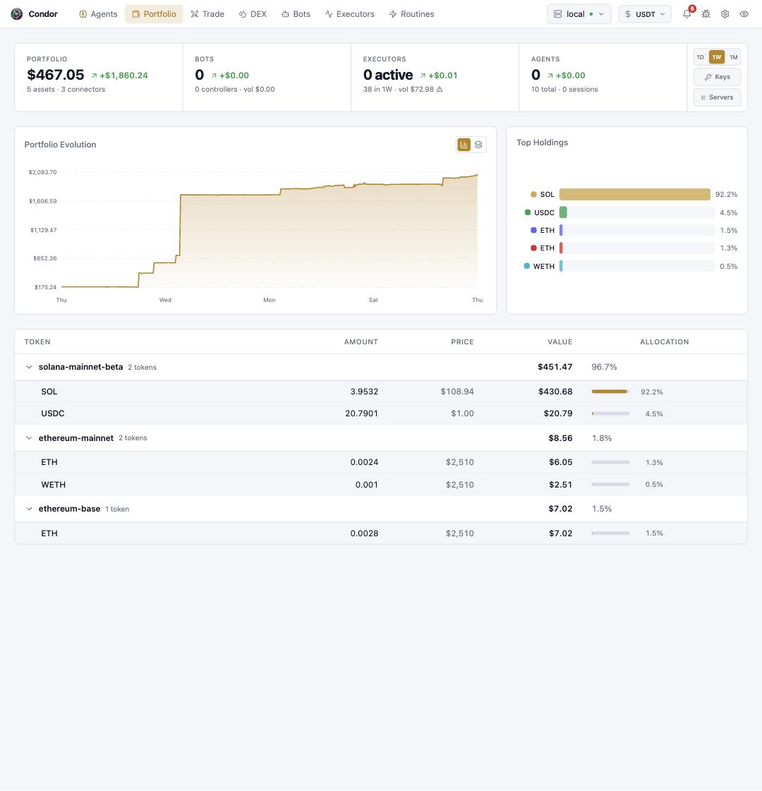 The Portfolio page: stat strip, evolution chart, top holdings, and token table
