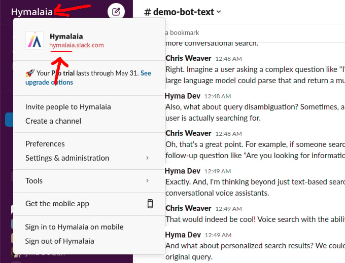 Locating the Slack workspace ID in the app configuration