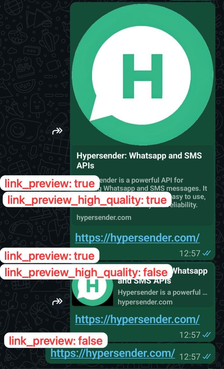 send-text send link preview