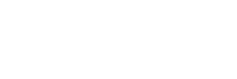 light logo