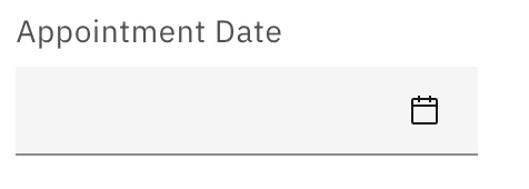 Date Picker Input