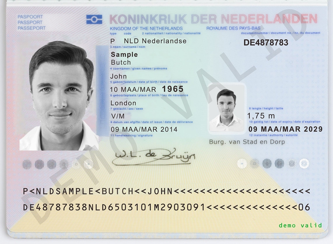 Netherlands passport (valid)