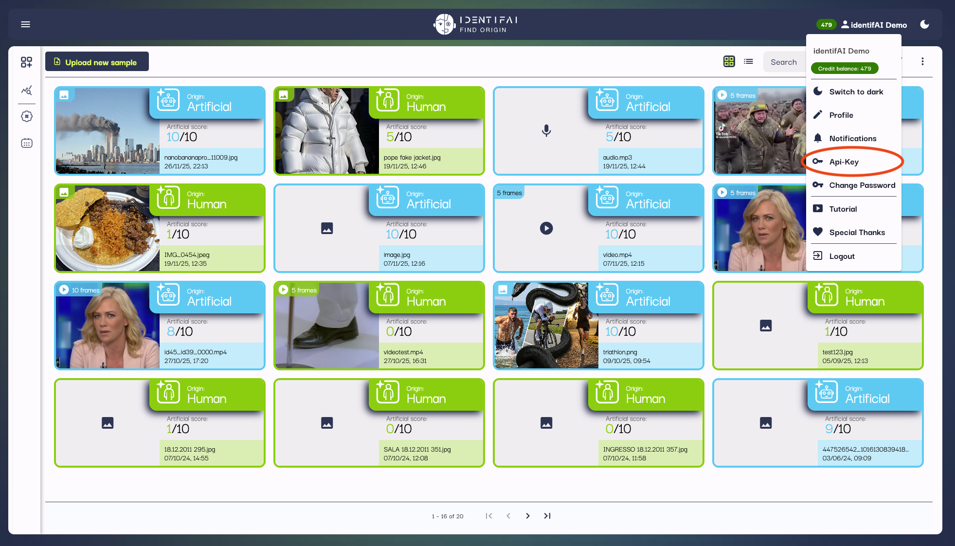 Api-key instructions