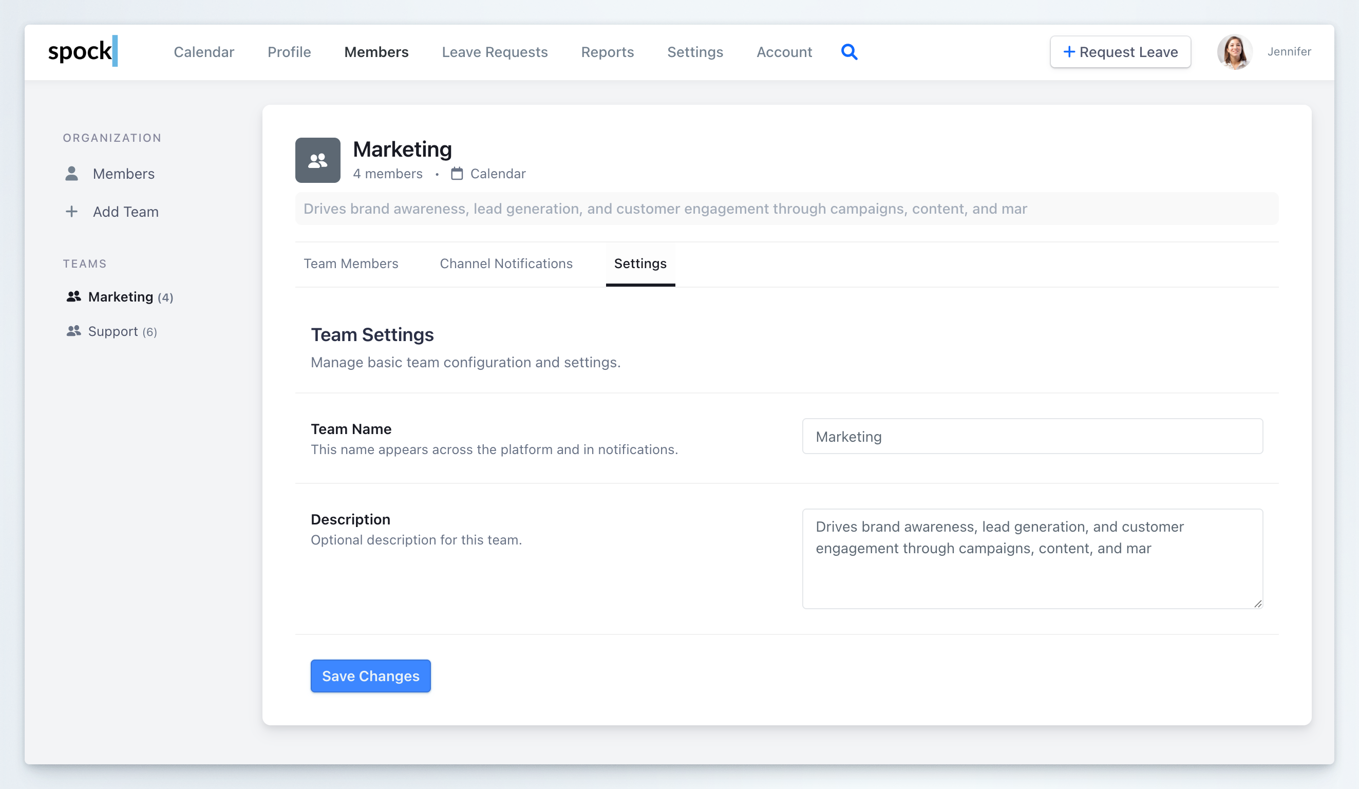 Team Settings tab with Team Name and Description fields