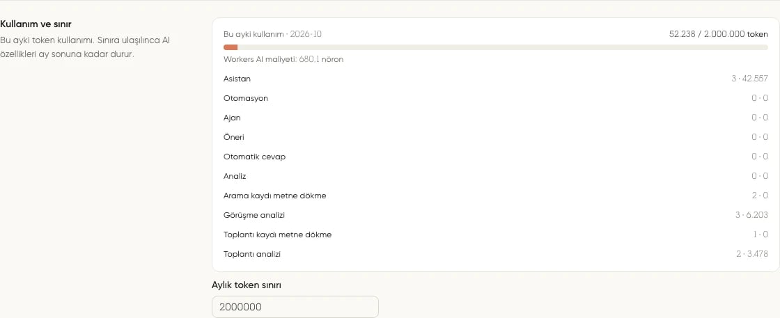 Bu ayki token kullanımı, Asistan, Otomasyon ve Ajan satırları ile aylık token sınırı
