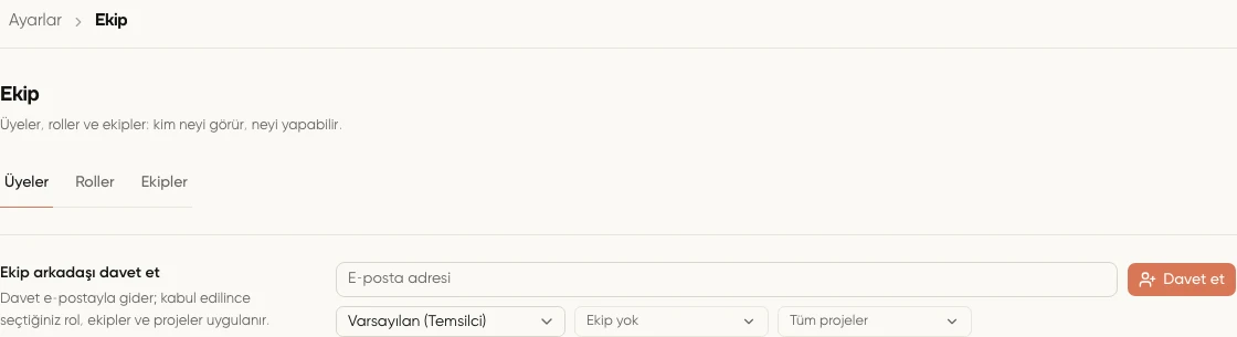 Ekip davetinde e-posta, rol, ekip ve proje seçimleri