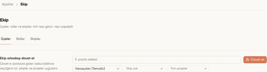 Ekip davetinde e-posta, rol, ekip ve proje seçimleri