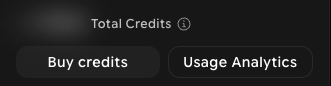 Profile menu showing the Total Credits balance with an info icon, and the Buy credits and Usage Analytics buttons