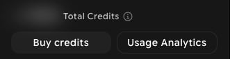 Profile menu showing the Total Credits balance with an info icon, and the Buy credits and Usage Analytics buttons