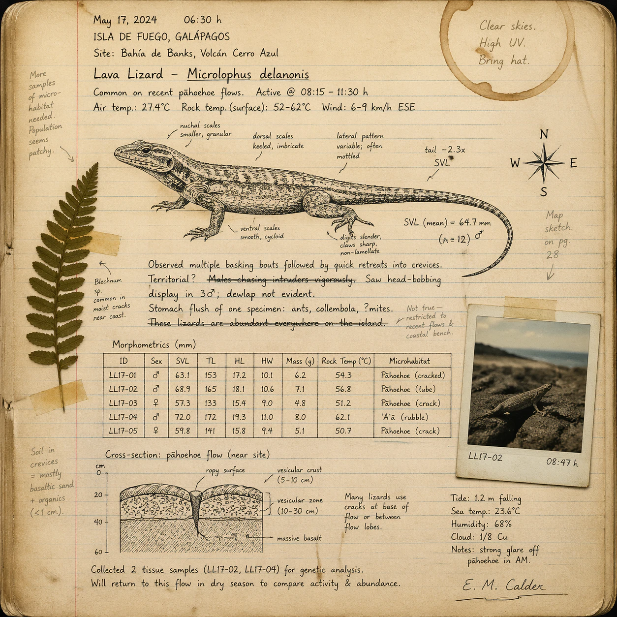 Field notebook generated by ChatGPT Image 2