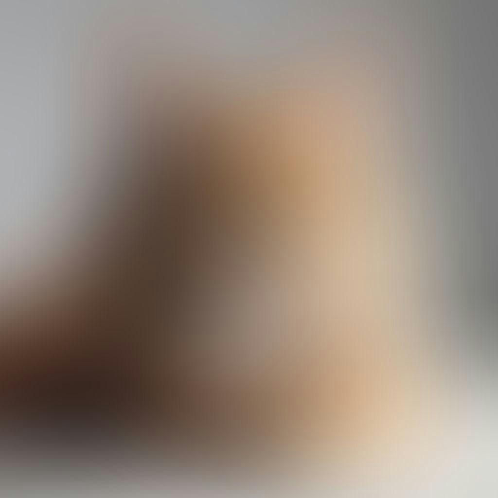 Blurred Cat Image sigma 100