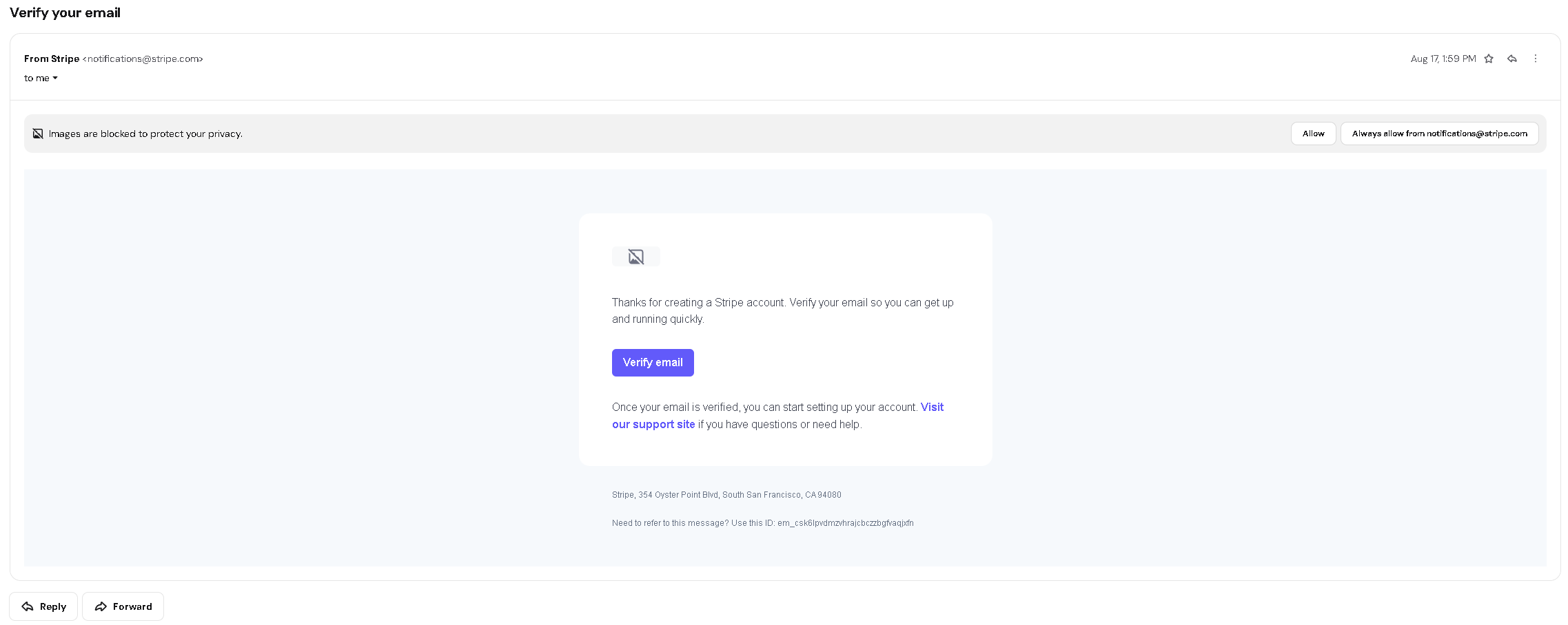 Stripe verification email with the Verify email button