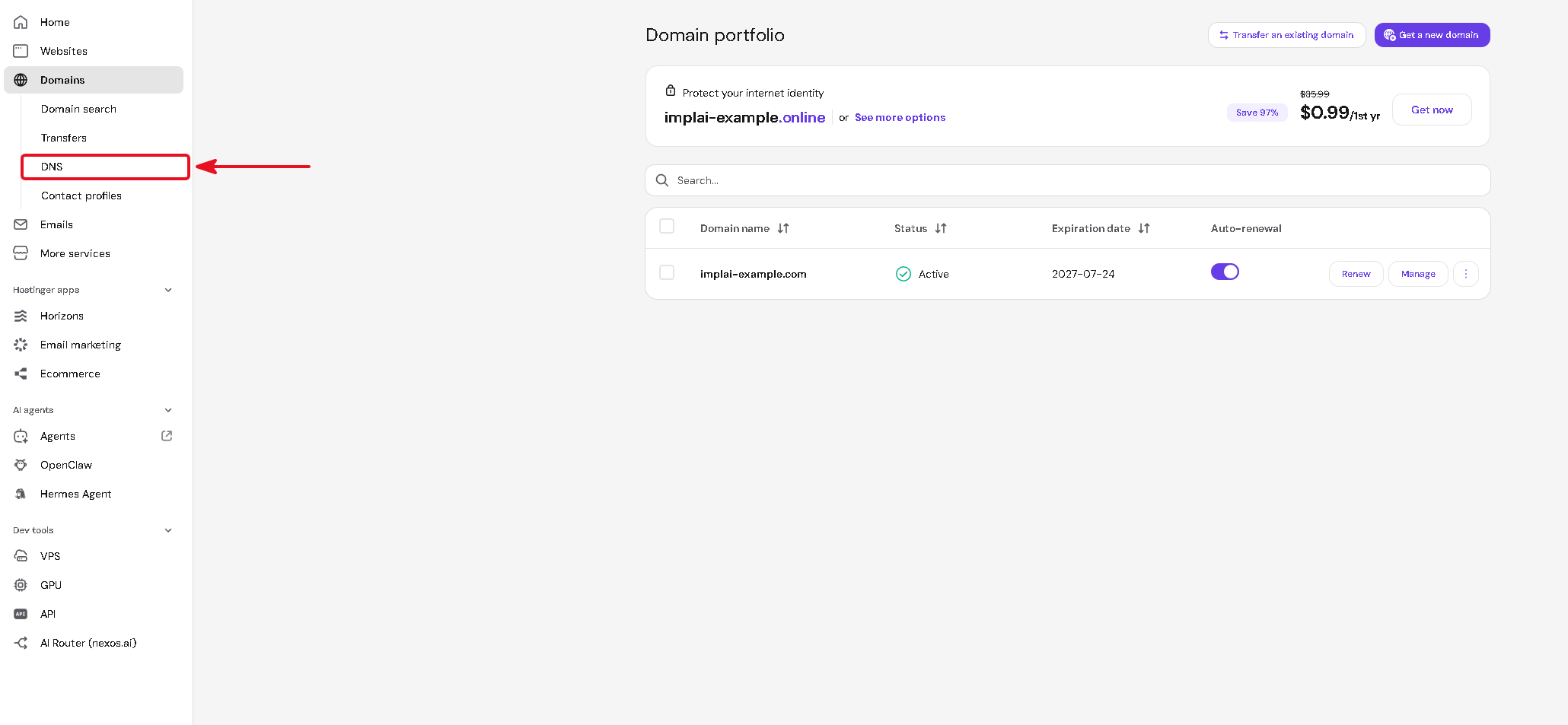 Hostinger sidebar expanded with the DNS option