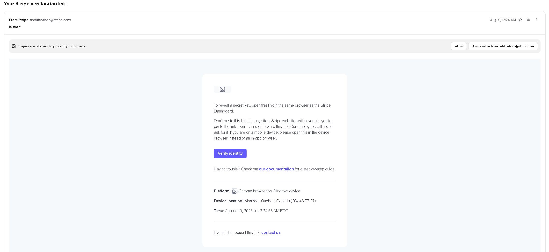 Stripe verification email for revealing the API key
