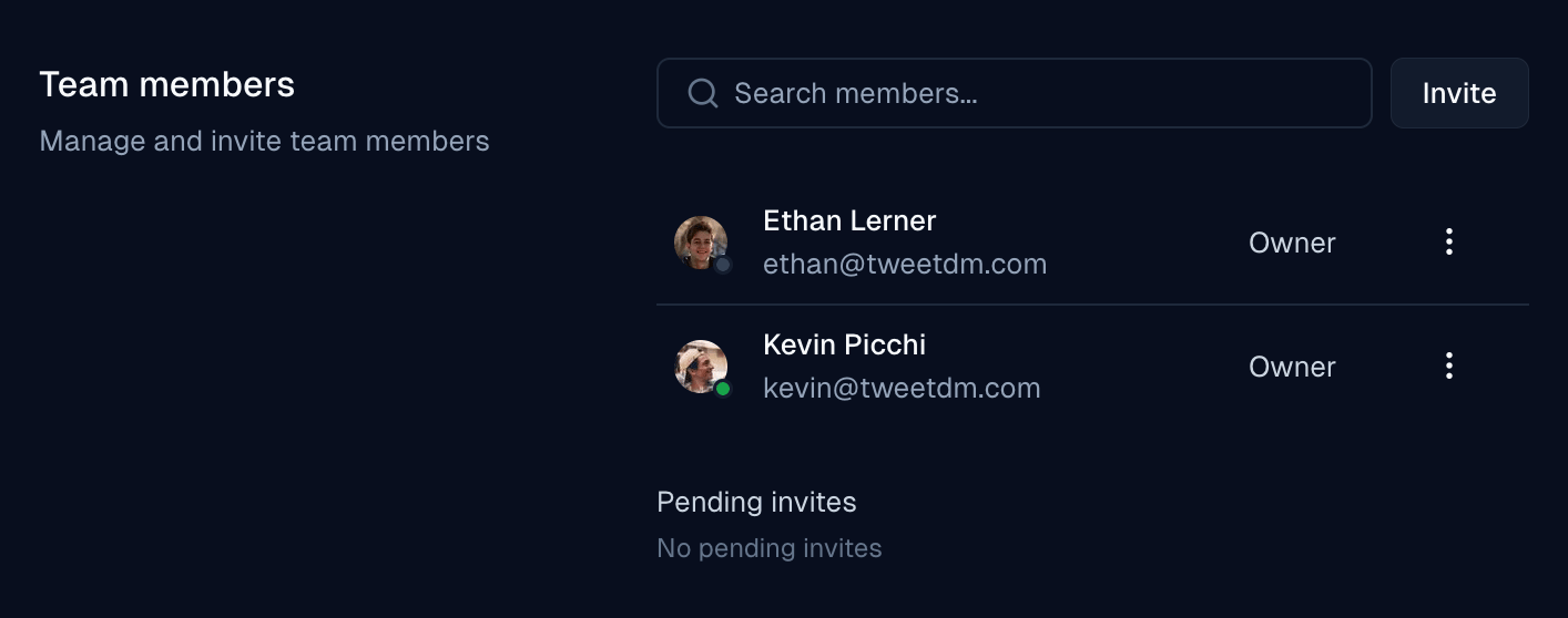 Team members section with Invite button