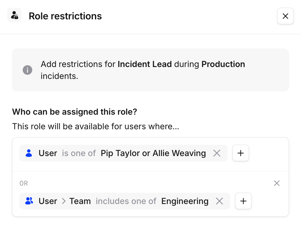 Role restrictions drawer with restrictions applied