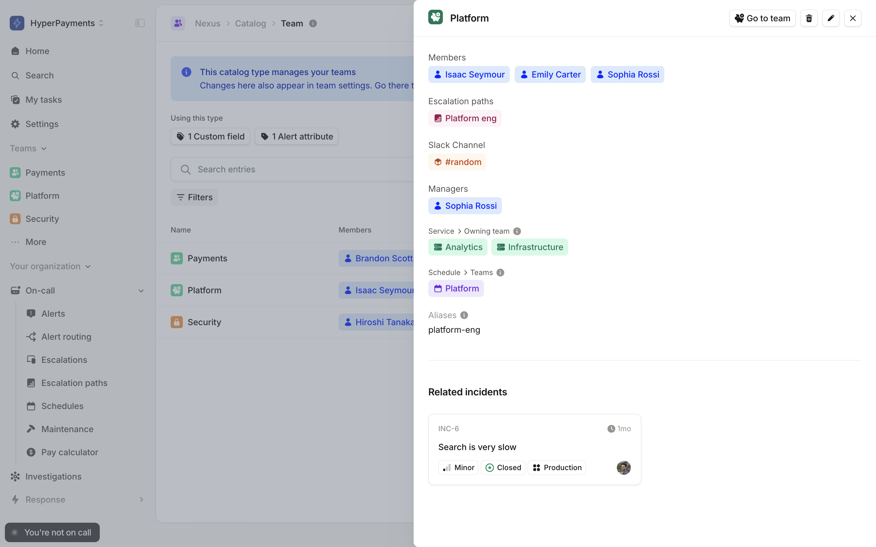 The Platform team entry, with platform-eng listed under Aliases