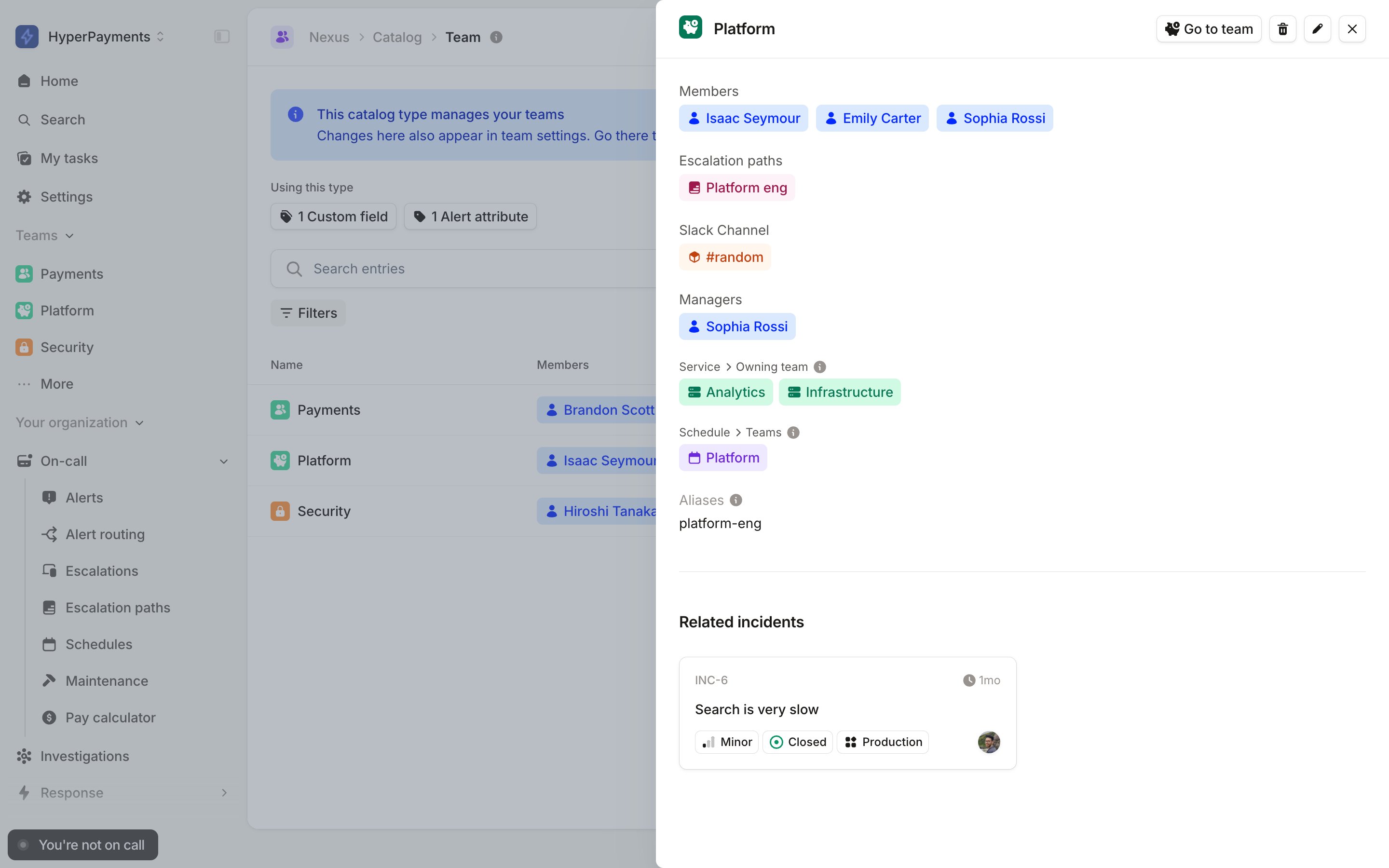 The Platform team entry, with platform-eng listed under Aliases