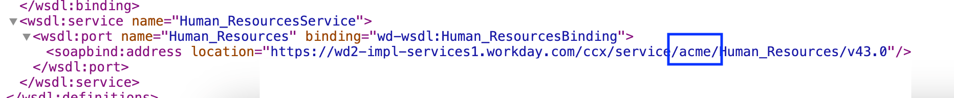 The tenant name highlighted in the Workday web services URL