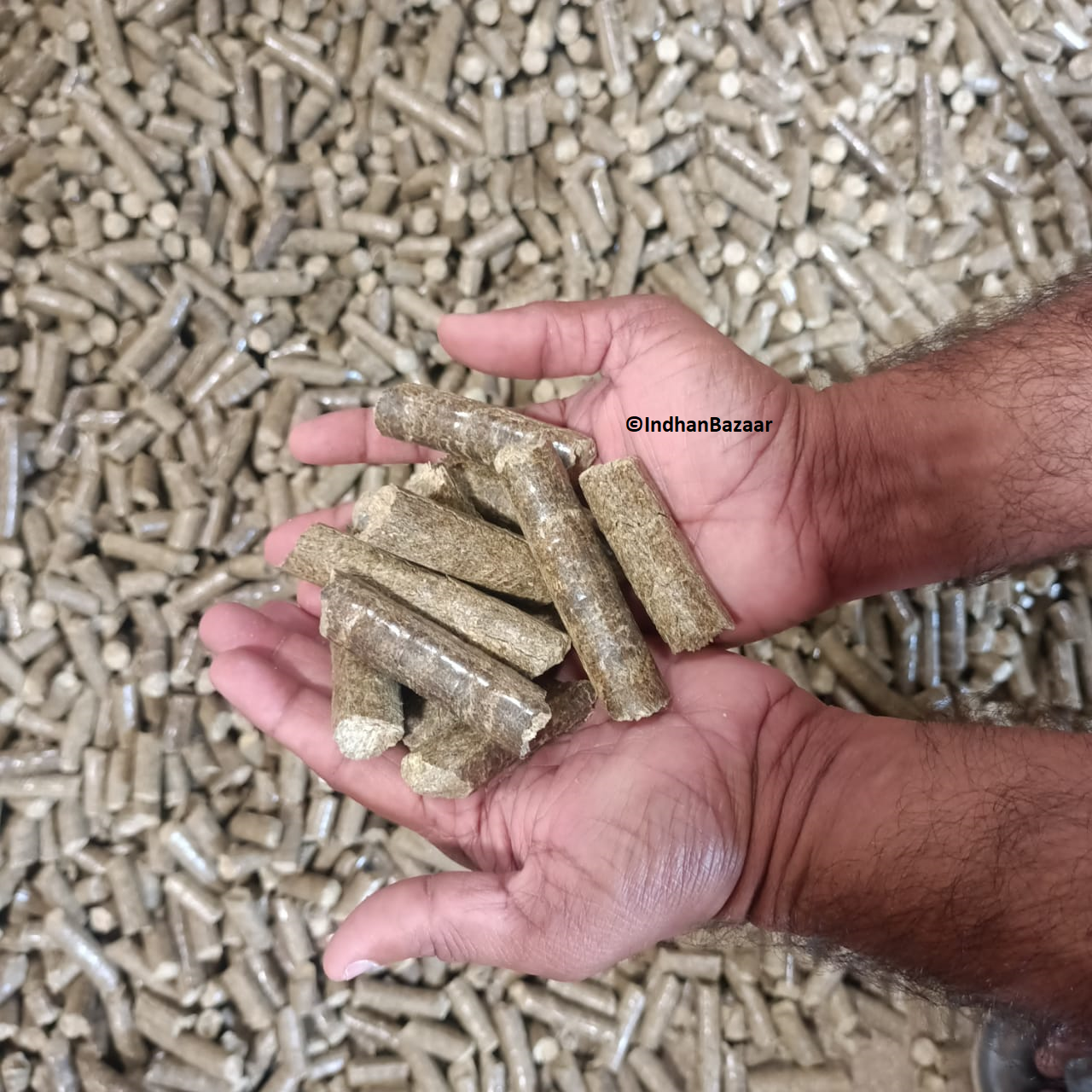 THE ENTIRE CONCEPT OF BIOMASS FUELS