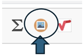 Pasted 1768901628117 Pasted 1768901628117