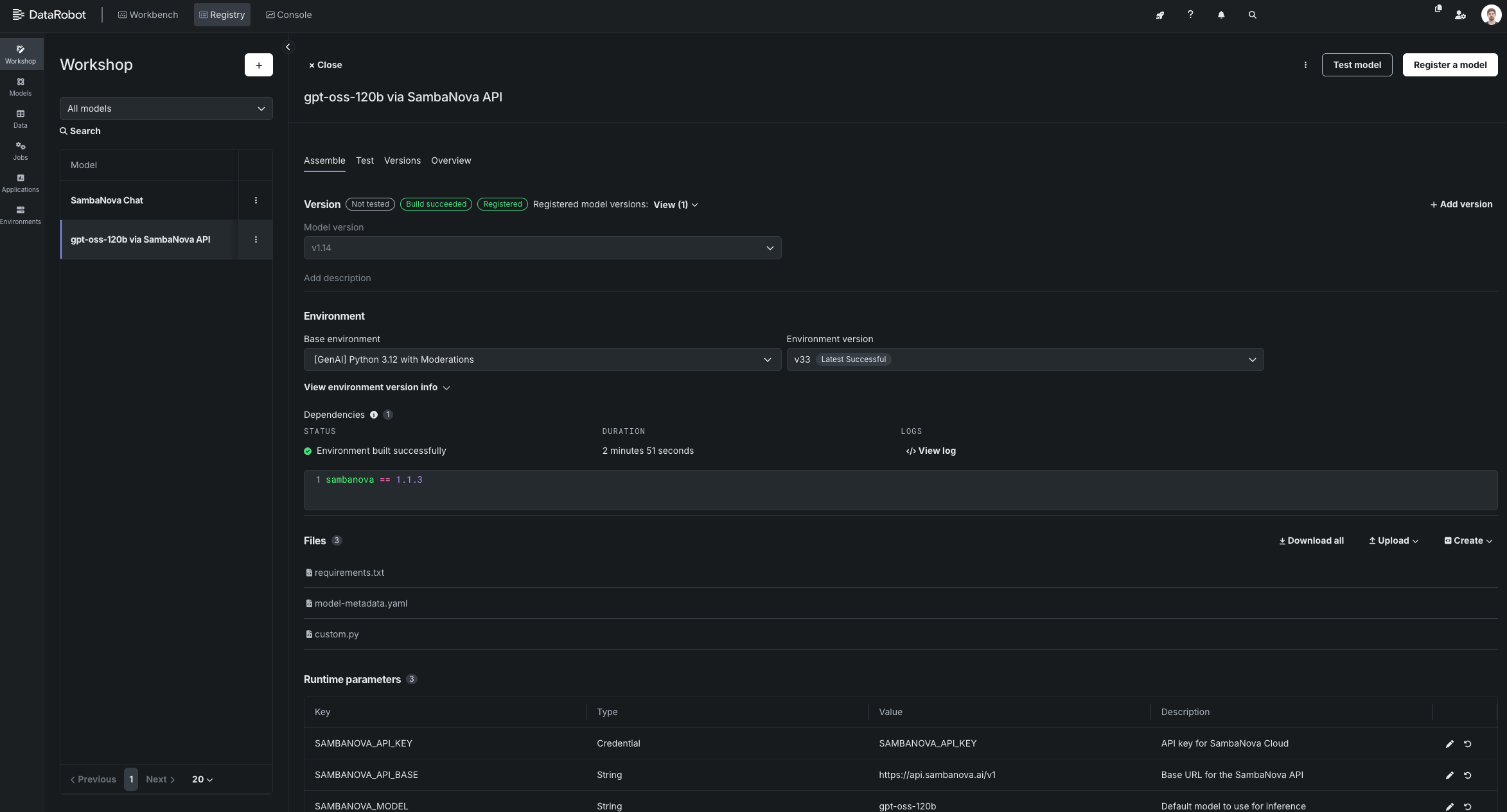 DataRobot Custom model setting page