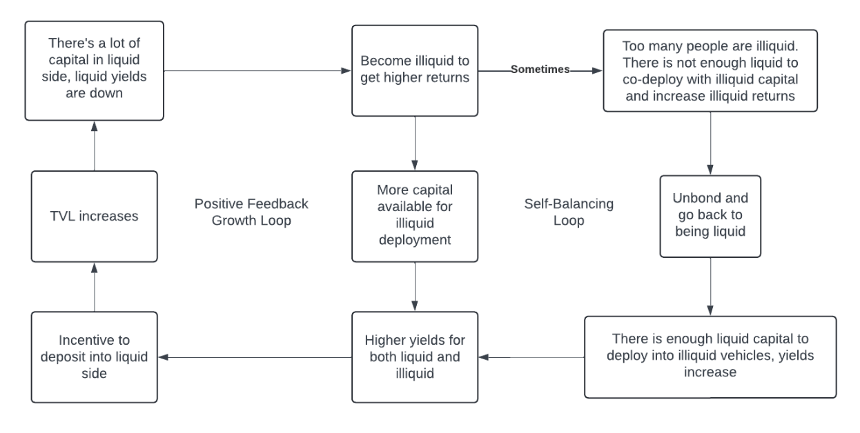 Rate and TVL growth and balancing loops